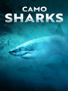 Színváltó cápák/Camo Sharks (2022) online film