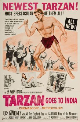 Tarzan Indiába megy (1962) online film