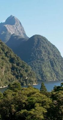 Új-Zéland madártávlatból (2017) online film