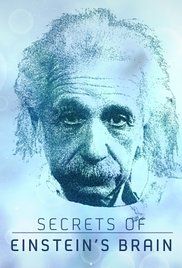 Utazás Einstein koponyája körül (Secrets Of Einstein's Brain) (2015) online film