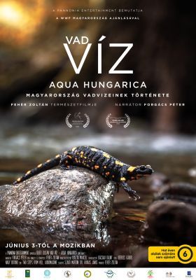 Vad víz – Aqua Hungarica (2021) online film