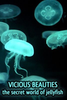 Veszélyesek és gyönyörűek - A medúzák (2010) online film