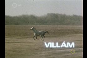 Villám (1981) online film